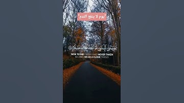 ويوم يعض الظالم على يديه | تلاوة مؤثرة أحمد النفيس - سورة الفرقان