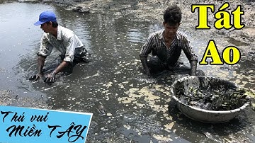 Tát cái ao bỏ hoang kết quả bất ngờ | Tát ao bắt cá | catch fish in vietnam | THÚ VUI MIỀN TÂY 46