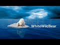 Whitewildbear best  chillstep mix