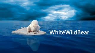 WhiteWildBear Best | Chillstep Mix