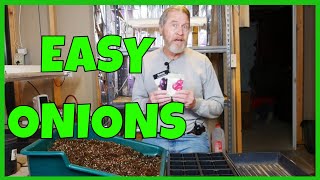 Do This to Start Onion Seeds (Indoors)