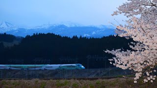 ‪『E3系 R18編成・特急とれいゆつばさ2号(返却回送)[回9495M]』2019/4/6(JR山形新幹線[JR奥羽本線]・庭坂駅～赤岩駅｢庭坂大カーブ｣