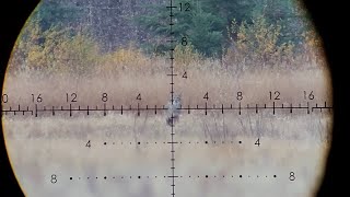 Coyote 650 yards 243 Win screenshot 3