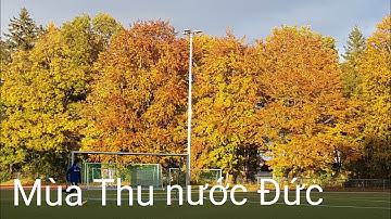 Mùa Thu ở  Đức, mỗi nơi mỗi vẽ đẹp/Autumn is  very beautiful.