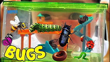 KIDS! 🐞Real BUG Playground! 🐛Watch Bugs Go Crazy! | EDUCATIONAL KIDS NATURE SHOW🌿
