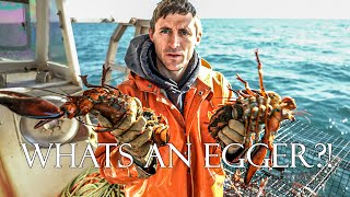 How is Maine Lobster Fishing so Sustainable?