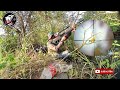 Segeraaaaa!!! Hunting Punai Sambil Nyanggong