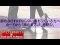 #34🚨厳し目あり🚨片想い向け💗諦めなければならない恋をしている方へ…カードから諦める方法を読む🔎＋近未来とアドバイス📣リクエストリーディング📣🔮あらいぐま　カードリーディングの森🔮