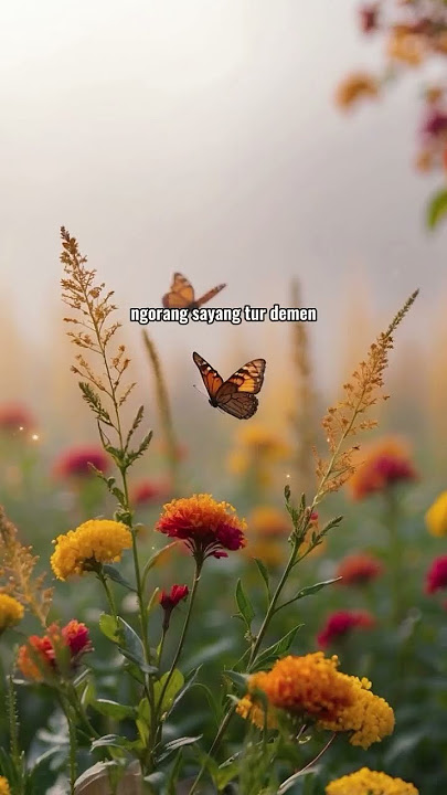 ade buin nemenin #dekulik #liriklagubali #lagubali #trend