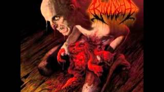 Bloodbath &quot;Outnumbering The Day&quot; Album: Nightmares Made Flesh