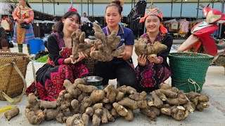 Harvesting Yam Tubers Goes To Market Sell  Cooking  Animal care