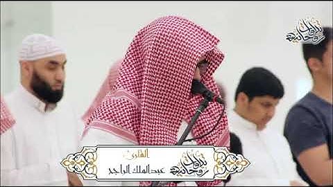 آيات من سورة الأنعام| تلاوة هادئة ورائعة للقارئ عبد الملك الراجح