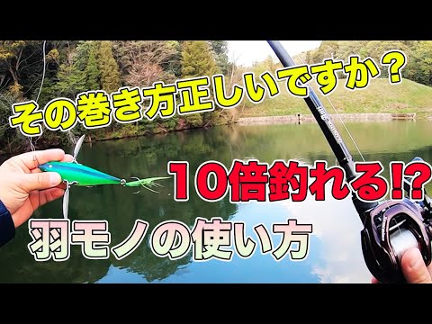 【バス釣】羽モノ(クローラーベイト)ルアーの使い方!!時期やデッドスローのやり方やラインの種類についても解説してみた【レイドジャパン】【ダッジ】【DODGE PV】