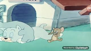 tom and jerry love that pup part 3