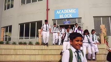 dibba- A short Film on Paper Recycling