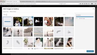 Flothemes :: Crowd - New Gallery