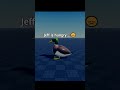 Jeff the duck #roblox#animal