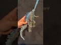 HIYA GODZILLA REVIEW 🔥🔥 #collection #godzilla #fyp #actionfigures #hiya #shmonsterarts #toys
