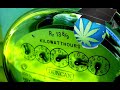 Lowering Electric Bill Tips – Cannabis Growers