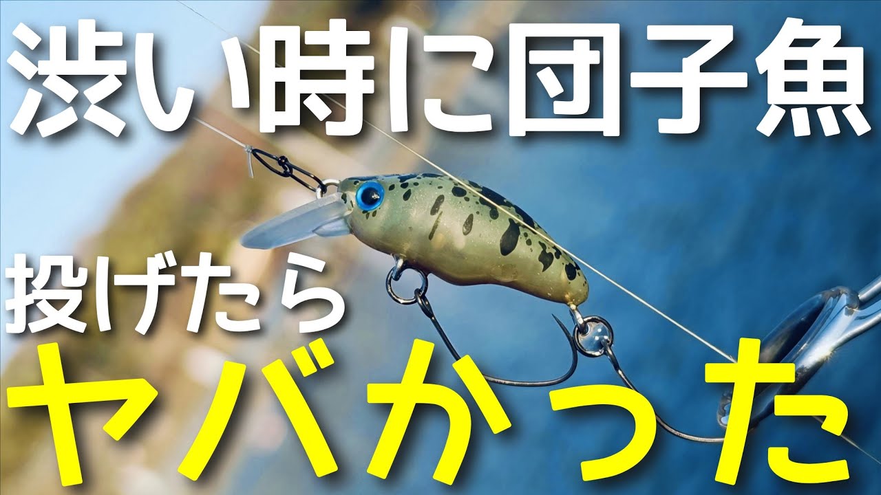 【激渋攻略】ド日中の渋い時に団子魚を投げたらヤバすぎた！【エリアトラウト】【管釣り】【スミス　ダンゴウオSR-LOW】