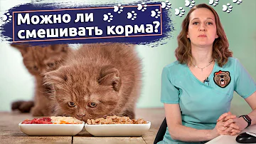 Вопросы ветеринару: Можно ли смешивать разные корма для собак и кошек