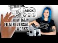 Adox Scala B&W Reversal: How It Works