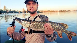 видео: ПОКЛЁВКИ как УДАРЫ МО́ЛОТОМ! Рыбалка на ДЖИГ с лодки. Hearty Rise Jig Force 762ML картинка: ПОКЛЁВКИ как УДАРЫ МО́ЛОТОМ! Рыбалка на ДЖИГ с лодки. Hearty Rise Jig Force 762ML