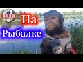 Маленькая домашняя обезьянка Алекса на рыбалке!