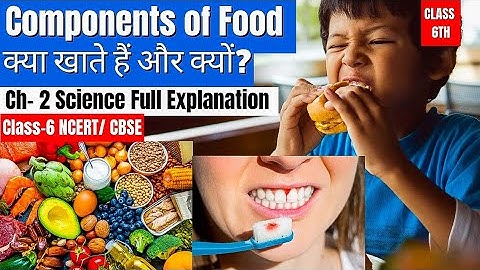 Class 6 Science Chapter 2 – Components of Food | क्या खाते हैं और क्यों? | Full Explanation