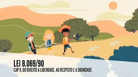 O que diz a lei 8069 1990?