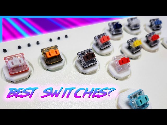 BEST switches for Snack Box Micro! Full comparison & breakdown ...