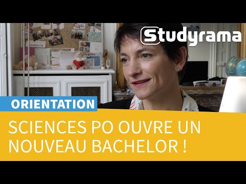 Le Bachelor of