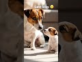 One Last Kiss: A Mother Dog’s Final Farewell 🐕‍🦺• Mama Dog Says Goodbye To Her Only Puppy.. #puppy