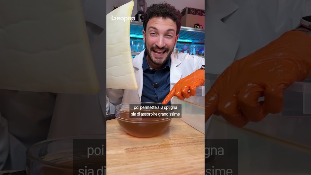 Come funziona questa spugna in grado di assorbire grandi quantità di oli e idrocarburi?