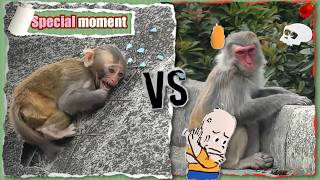An endurance test - baby vs mum 🤣
