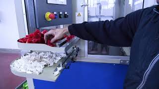 Borghi brush making machine - LOOP