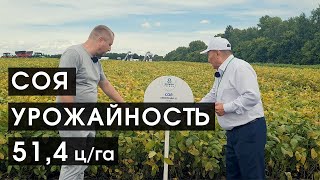видео: Соя в Сибири: советы от ведущего селекционера картинка: Соя в Сибири: советы от ведущего селекционера