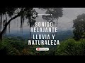 DORMIR CON SONIDO RELAJANTE DE LLUVIA Y PÁJAROS - Selva Tropical -