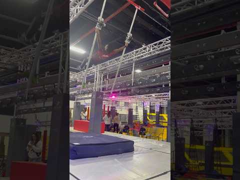 Insane Ninja Warrior