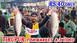 Tirupur Fish Market A-Z Video | Cheapest Fish Market | Vignes Tamizha