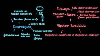 Depresyon ve Bipolar Bozukluk (Psikoloji / Davranış) (Sağlık Bilgisi ve Tıp) Resimi