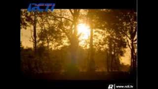 Download lagu ID RCTI - TRADISI (2011)