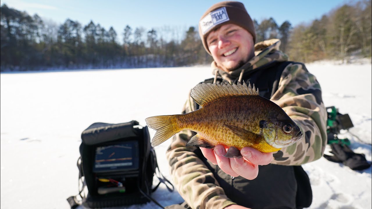 Jigging Up Bluegills With GARMIN LIVESCOPE Wisconsin Ice Fishing 2021