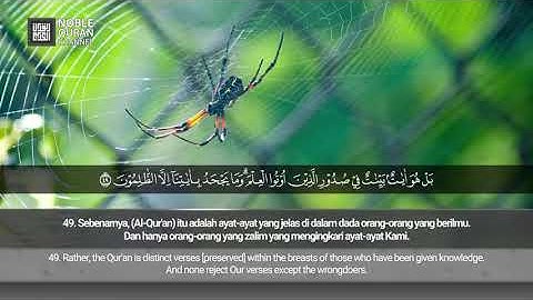 [029] Surah Al-'Ankabut [Full] - Asyam Syafiq | سورة العنكبوت (كاملة) - آشام شفيق