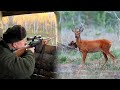 Hunting Siberian Roe deer | Lov sibirskog srndaća | Caccia al capriolo siberiano