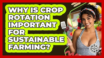 Why Is Crop Rotation Important For Sustainable Farming? - The Skillful Chef