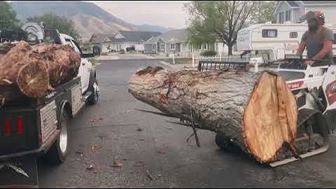 BOBCAT MT100 LOG LIFTING
