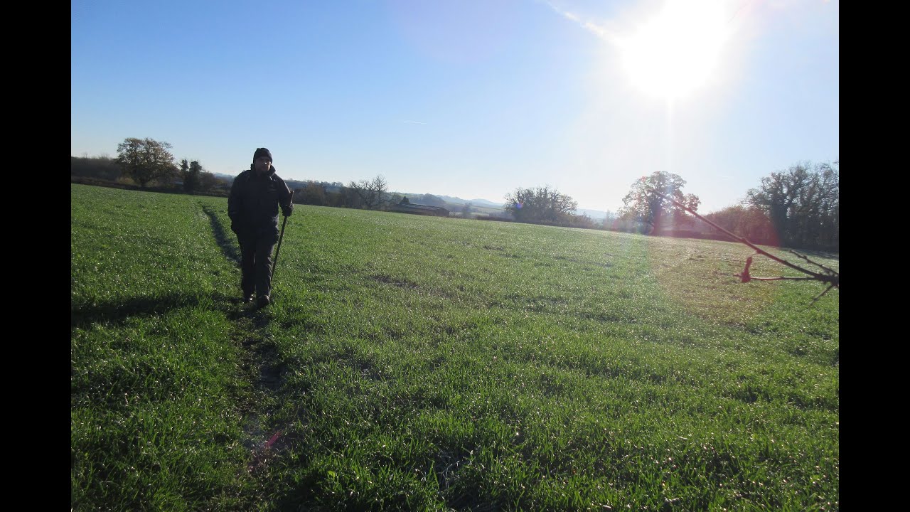 The Saxon Kings Way - November 2025