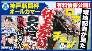 【神戸新聞杯・オールカマー2026】記者が見たロブチェンの仕上がり具合は!?  東スポ競馬NEWS LIVE