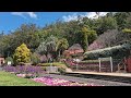 Spring Bluff Railway Station Gardens Tour
